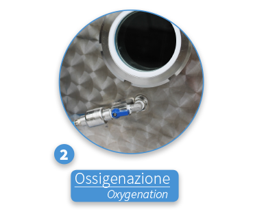 (2) Oxygenation