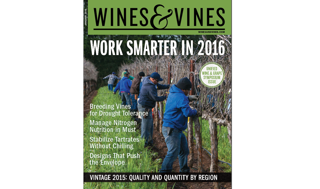 Wines & Vines