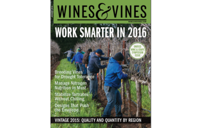 Wines & Vines