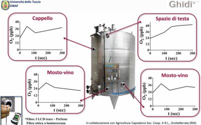 Atmosphere controlled, wave winemaker study