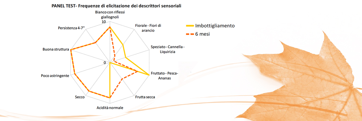 PANEL TEST -vino senza solfiti con Vinificatore Onda